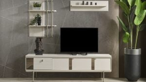 Ağaçlı İkinci El Televizyon Alan Yerler