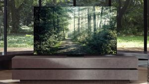 Ağaçlı İkinci El Televizyon Alanlar