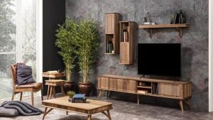 Abbasağa İkinci El Televizyon Alanlar